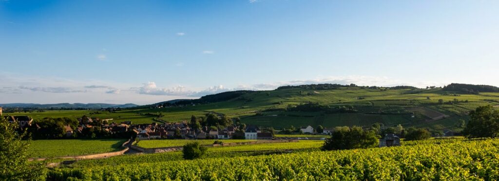 02_savoir-faire-vin-bourgogne-leprince-nantoux